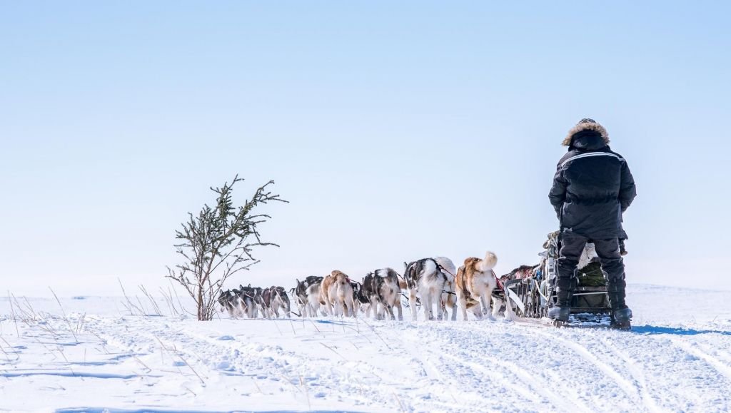 L'appel des glaces