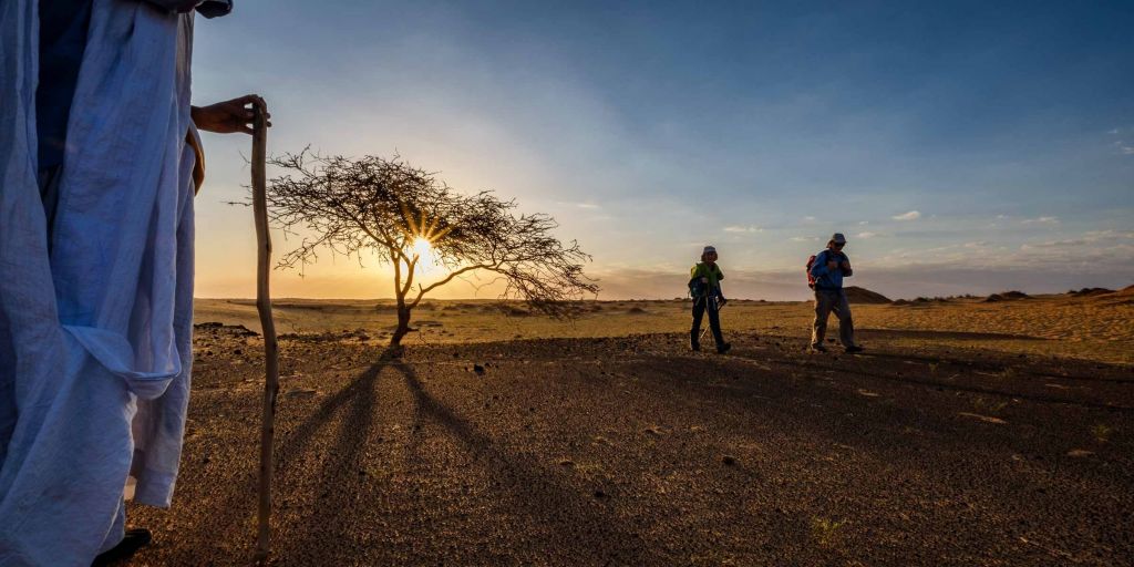 Dans le désert du Sahara, en Mauritanie