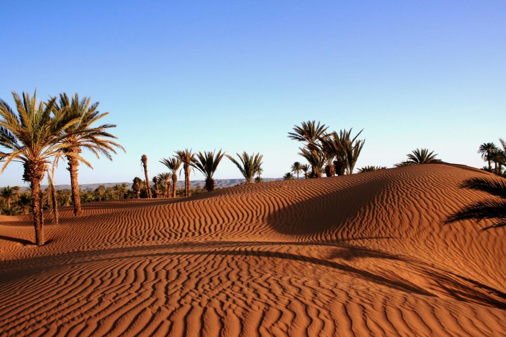 Grandes dunes et petits nomades