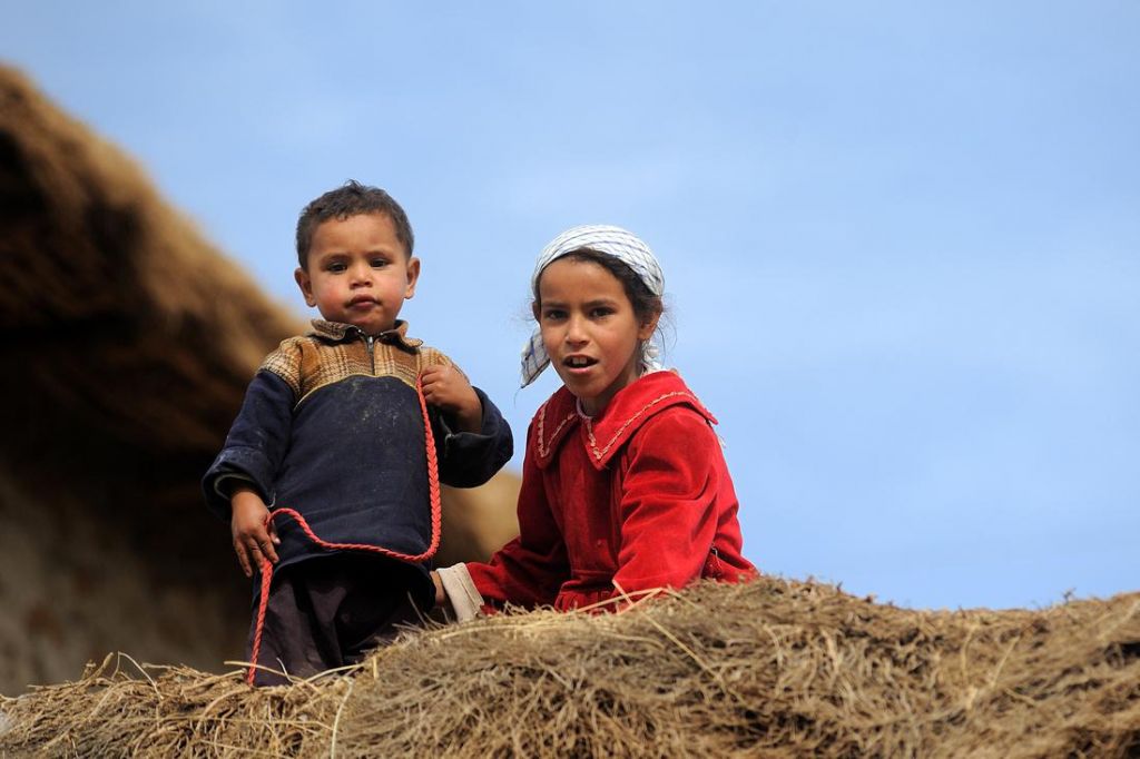 Grandes dunes et petits nomades