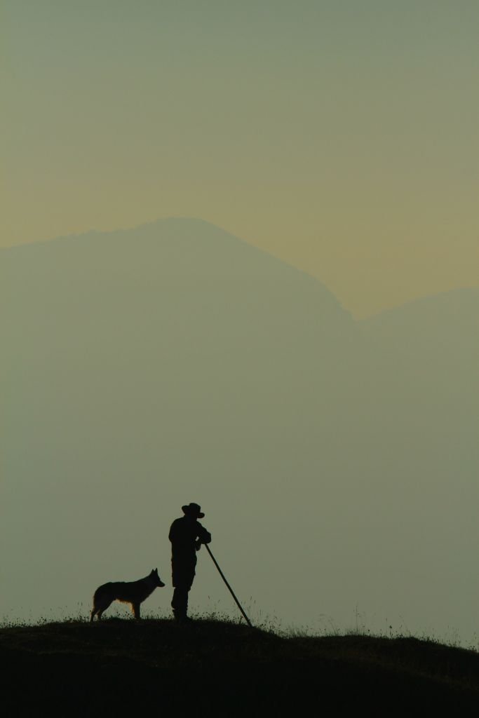 Berger avec son chien dans les Alpes