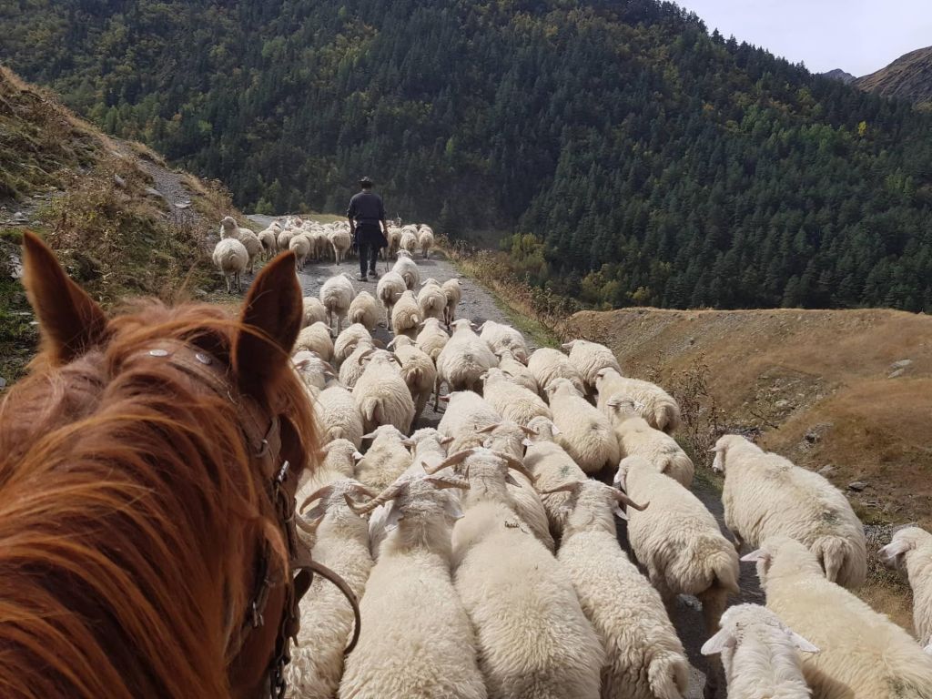 Trek inédit entre Touchétie et Khevsourétie