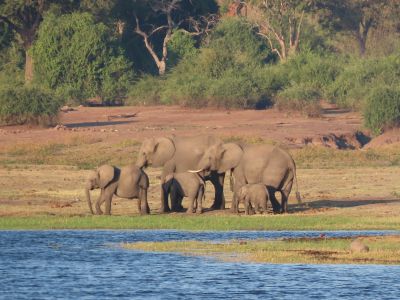 Namibie - Namibie, Botswana, Victoria Falls, une aventure tout confort!